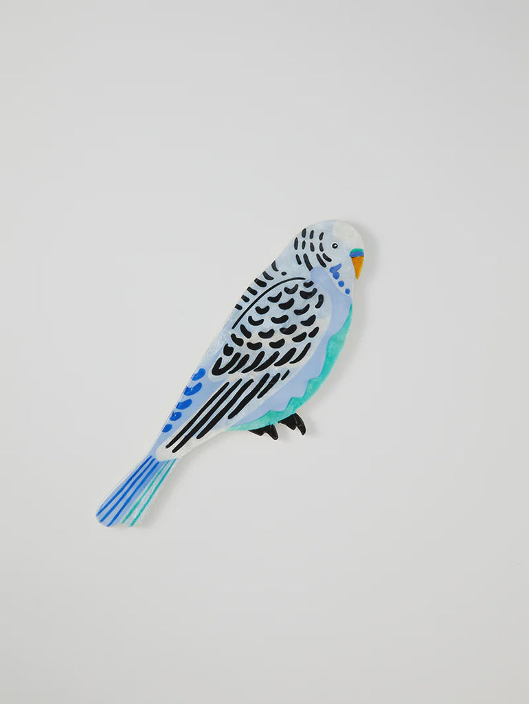 Aerial Budgie Wall Art